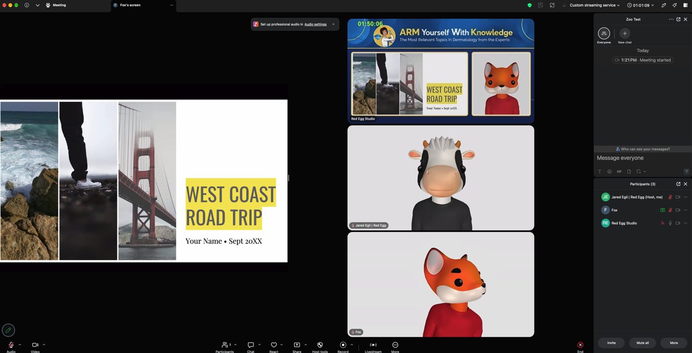 Presenter view in Zoom